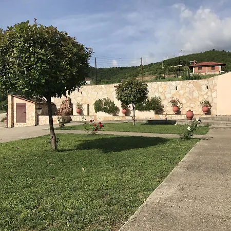 Alkioni