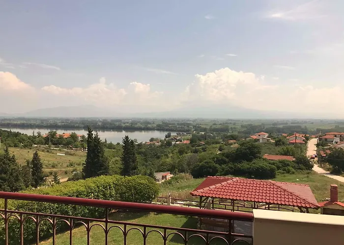 Alkioni